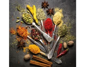 Obraz na plátne Pestrofarebné korenie, 35x35 cm%
