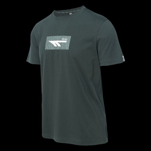 Pánske tričko s krátkym rukávom AMILO M