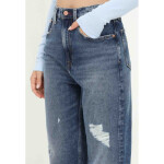 Tommy Jeans Mom Jean Uhr Tprd DW0DW13586 Nohavice