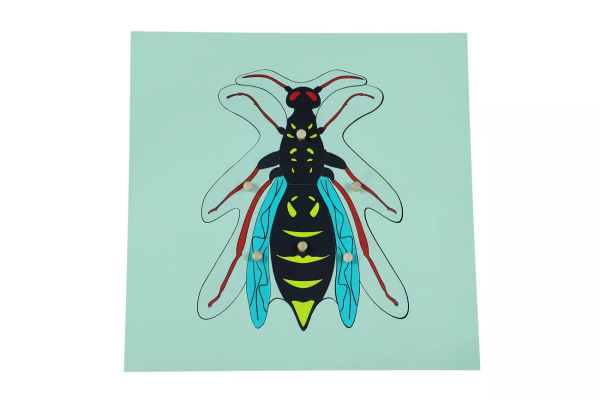 Moyo Montessori Moyo Montessori Puzzle - osa