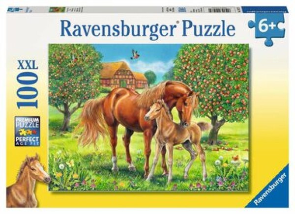 Ravensburger Kone na pastvine