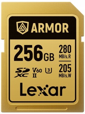 Lexar Armor Gold SDXC 256 GB Class 10 UHS-II/U3 V60 (LSDAMGL256G-RNNNG)