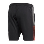 Adidas Tango Tech Short M FP7905 S