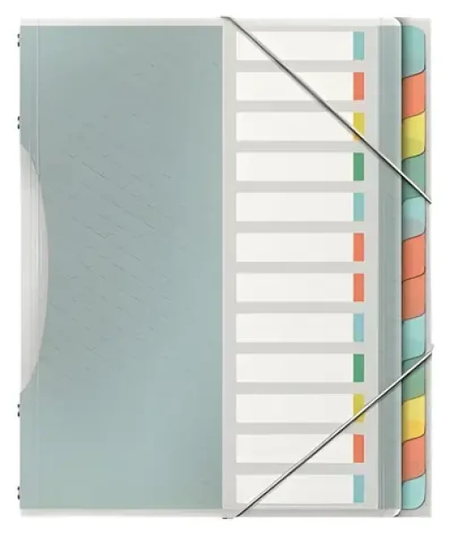 Esselte Colour'Ice mix farieb / Triediace dosky / 12 listov / PP (626256)