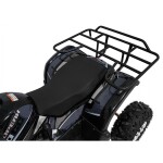 Mamido Detská benzínová štvorkolka RamiGO WILDPEAK 110CC čierna
