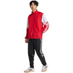 Mikina adidas Squadra 25 Presentation M JD2969 men S