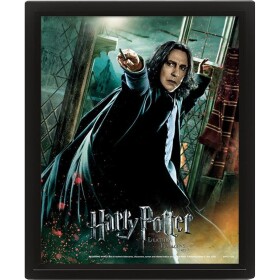 Pyramid International 3D obraz Harry Potter Snape