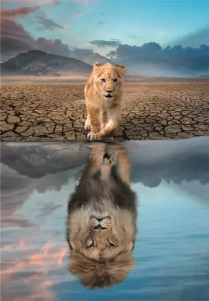 Clementoni 21719 Puzzle Odraz 300 dielikov