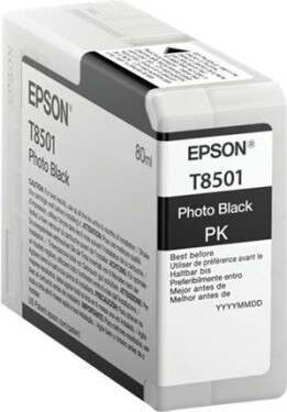 Epson Wkład atramentowy UltrachrómeHD Photo Black (C13T850100)