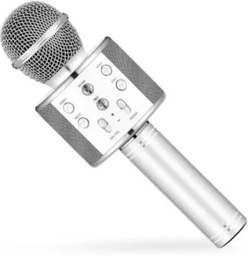 Eljet Karaoke mikrofón Globe strieborný (5084)
