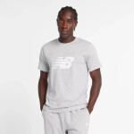 Tričko New Balance S/S Sport Graphic V Flying MT43906AG pánske L