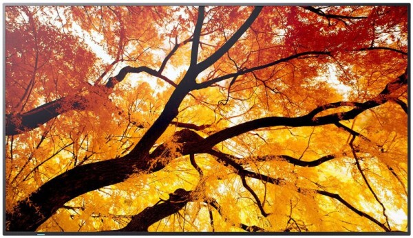 Sharp Monitor Videowall 60006058 4K Ultra HD 86"