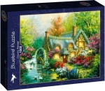 BlueBird Puzzle Vidiek