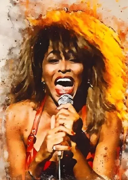 Norimpex Maľovanie podľa čísel Tina Turner spieva