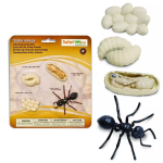 Safari Ltd. Safari Ltd. Životný cyklus - Mravec