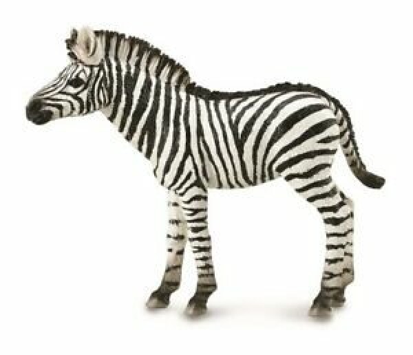 Collecta ZEBRA