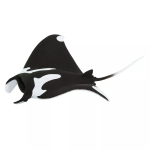 Safari Ltd. Safari Ltd. Figúrka - Manta