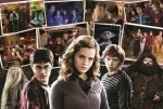 Trefl - Puzzle - Harry potter s priateľmi
