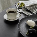 House Doctor Šálka s tanierikom PION sivobiely 230 ml