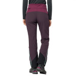 Dámske lyžiarske nohavice Jack Wolfskin Alpspitze Pants W 1507531-1014 40