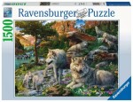 Ravensburger Jarní Vlci