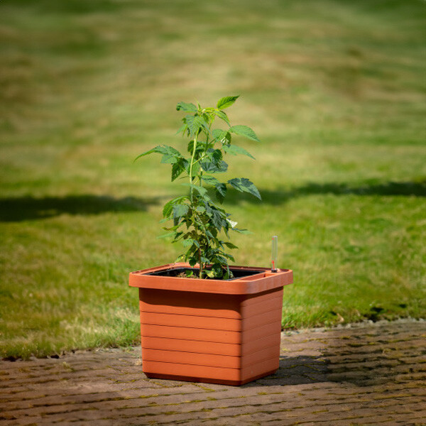 Plastia Samozavlažovací veľkoobjemový truhlík Berberis UNO terakota 45 cm