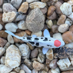 Safari Ltd. Safari Ltd. Figúrka - Koi kapor