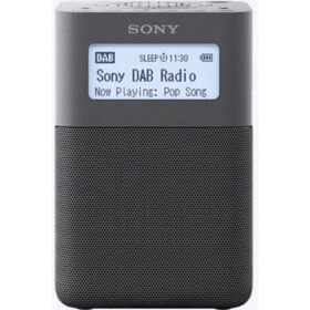 Sony XDR-V20DH