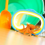 Safari Ltd. Safari Ltd. Chobotnica