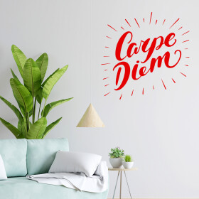 Veselá Stena Samolepka Carpe Diem (Užívaj dňa) Farba: červená, Veľkosť: 40 x 40 cm
