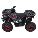 Mamido Detská benzínová štvorkolka RamiGO DISCOVERER 125CC čierno-červená