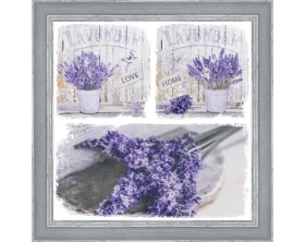 Rámovaný obraz 40x40 cm FAP515%