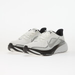 Tenisky Nike Pegasus 42 Summit White/ White-Metallic Silver EUR 41