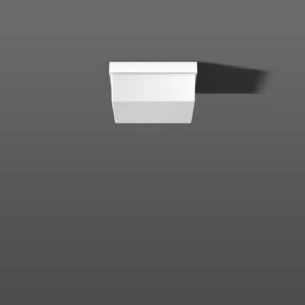 RZB 22146.002 stropné osvetlenie do kúpeľne; 22146.002