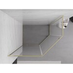 MEXEN - Exo sprchovací kút päťboký krídlový 100 x 90, transparent, zlato 812-100-090-50-00