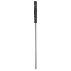 Bosch Accessories 2608596341 šalovací vrták 20 mm Celková dĺžka 400 mm valcová stopka 1 ks; 2608596341