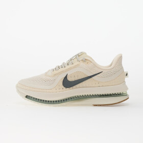 Tenisky Nike Pegasus Premium Pale Ivory/ Black Spruce-Jade Horizon EUR 42.5