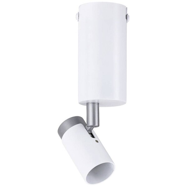 Paulmann 79523 Runa stropné svetlo GU10 biela, sivá; 79523