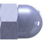 Reisser 31786 klobúčikové matice M10 50 ks; 31786