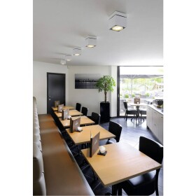 SLV 117101 Kardamod stropné svetlo halogénová žiarovka GU10 75 W biela; 117101