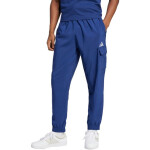 Nohavice adidas Essentials Small Logo Cargo M JD1825 L