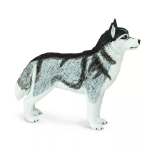 Safari Ltd. Safari Ltd. Figúrka - Sibírsky husky