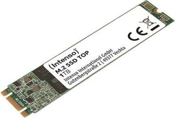 Intenso 1TB M.2 2280 SATA III (3832460)