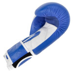 Kožené boxerské rukavice MASTERS RBT-TRW 01210-02 modrá