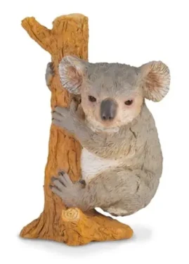 Collecta Koala na strome