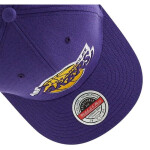 Mitchell & Ness NBA Los Angeles Lakers Team Ground 2.0 Stretch Snapback Cap HHSS3257-LALYYPPPPURP OSFM