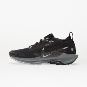 Tenisky Nike W Pegasus Trail 5 Gtx Black/ Wolf Grey-Cool Grey-Anthracite-Reflect Silver EUR 36.5