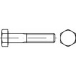 TOOLCRAFT TO-5440095 šesťhranná skrutka M24 100 mm vonkajší šesťhran ocel glavanizované zinkom 10 ks; TO-5440095