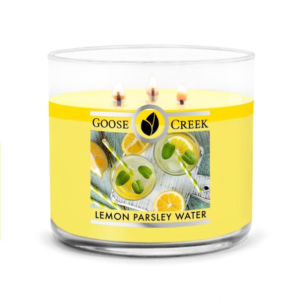 Goose Creek - Citrónová voda s pažítkou Aromatická sviečka v skle 411 g