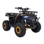 Mamido Detská benzínová štvorkolka RamiGO DISCOVERER 125CC čierno-oranžová
